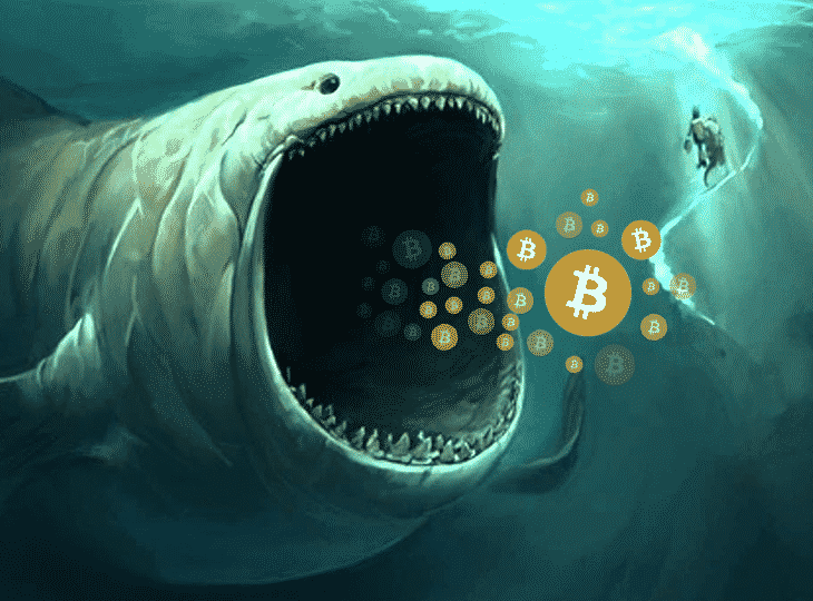 صید 551 بیتکوین ارزان توسط سومین وال بزرگ