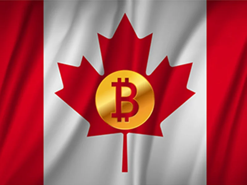 معاون بانک مرکزی کانادا رمزارزها را فعلا بی خطر میداند!